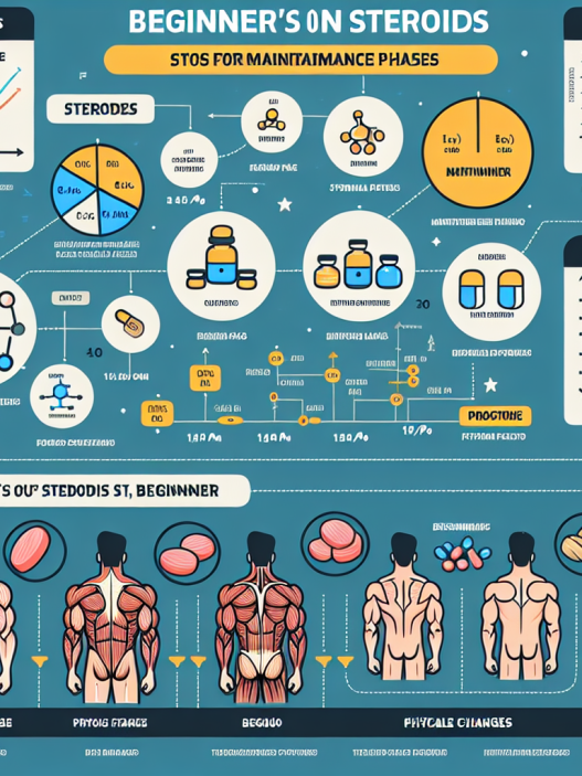 Cursos de esteroides para principiantes en fases de mantenimiento